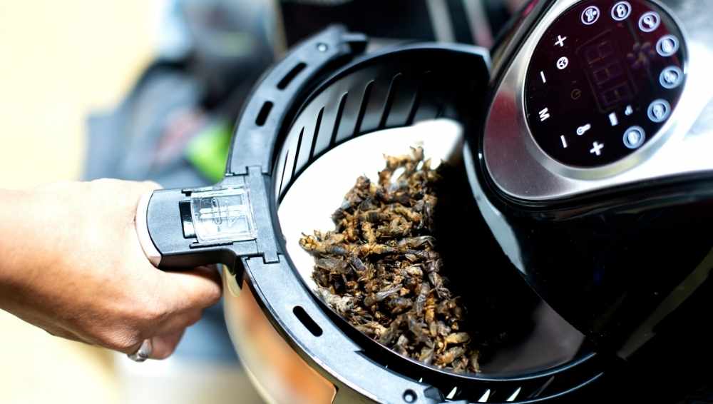 Mistakes that should be avoided using an air fryer