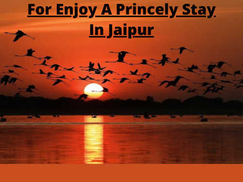 5 Best Hotels In Jaipur For Enjoy A Princely Stay In Jaipur