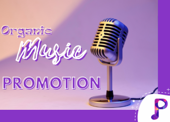 Get organic online exposure with Promozle's music promotion service
