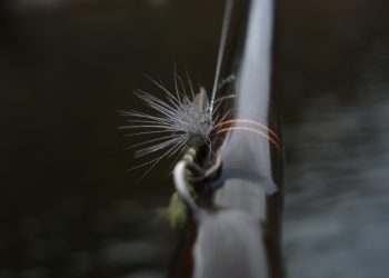 fly fishing vise