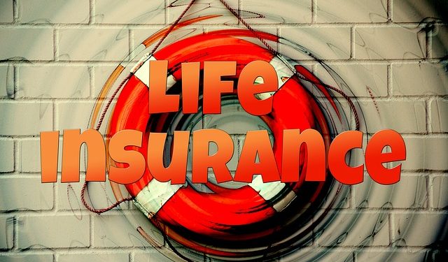 Life Insurance Agency