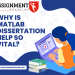 Why Is MATLAB Dissertation Help So Vital