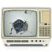 The best way in disposing of your damaged TV is to give it to a refinishing centers so your answer about what to do with a broken TV is solve. They will tear the TV down and then break it down into functional and non-functional components.